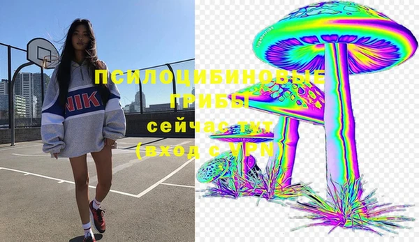 гидра Баксан