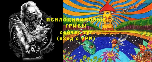 гидра Баксан