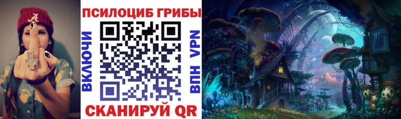 мориарти телеграм  Лыткарино  Псилоцибиновые грибы Magic Shrooms  ссылка на мегу ТОР 