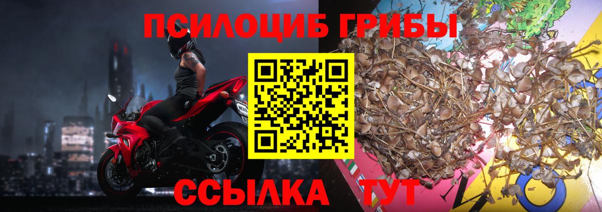 Лыткарино  где продают наркотики  Вход с VPN  Галлюциногенные грибы мухоморы 