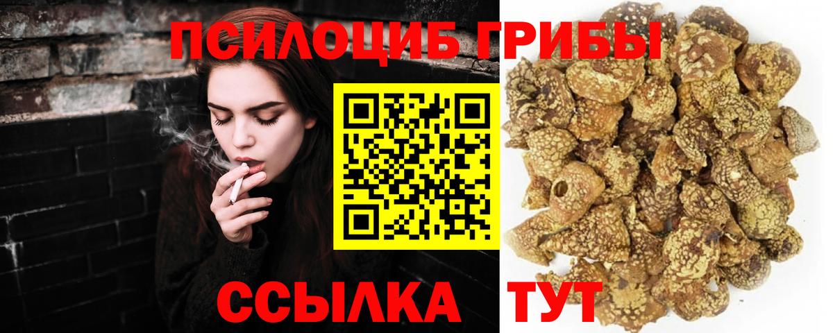 Галлюциногенные грибы MAGIC MUSHROOMS Лыткарино